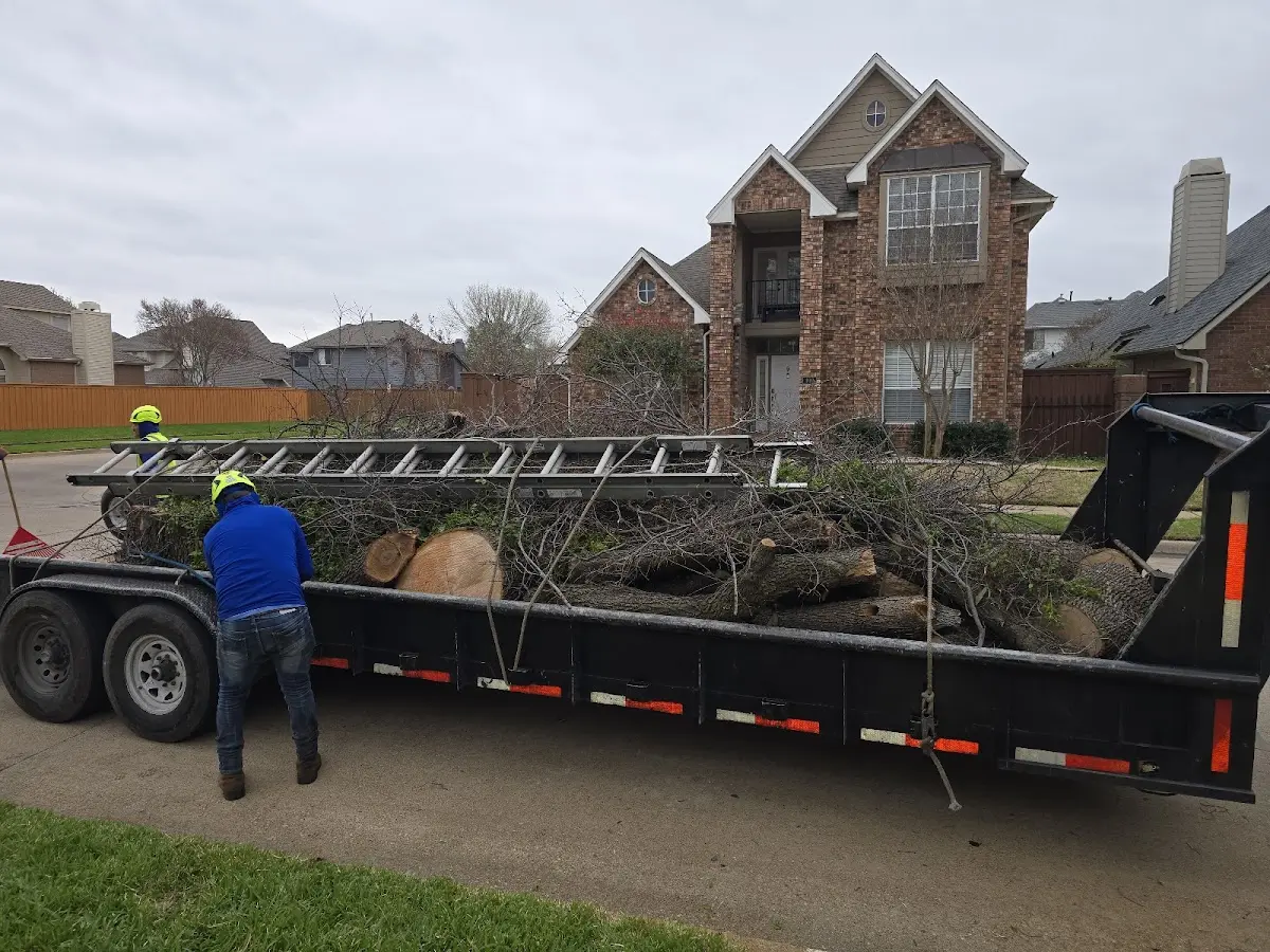 Expert Lot Clearing with proper safety equipment in Milan